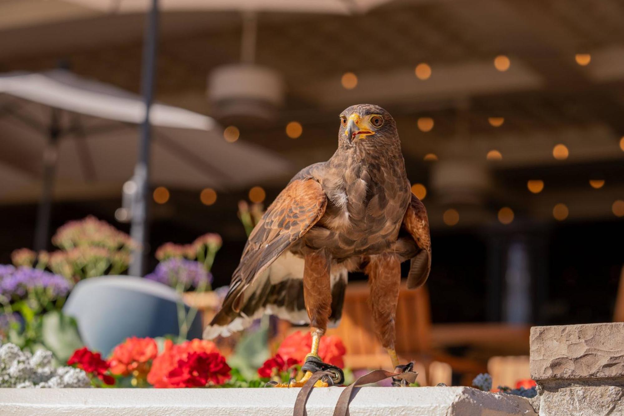 The Phoenician, A Luxury Collection Resort, สก็อตส์เดล ภายนอก รูปภาพ